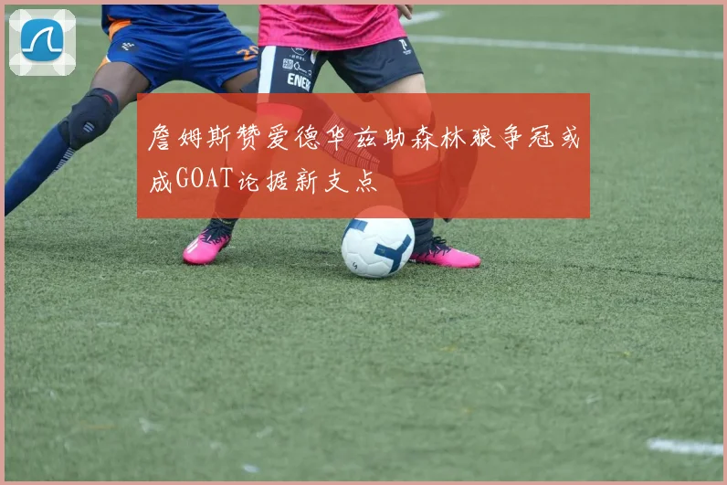 詹姆斯赞爱德华兹助森林狼争冠或成GOAT论据新支点